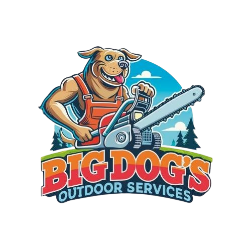 Big Dog's Outdoor Services LLC